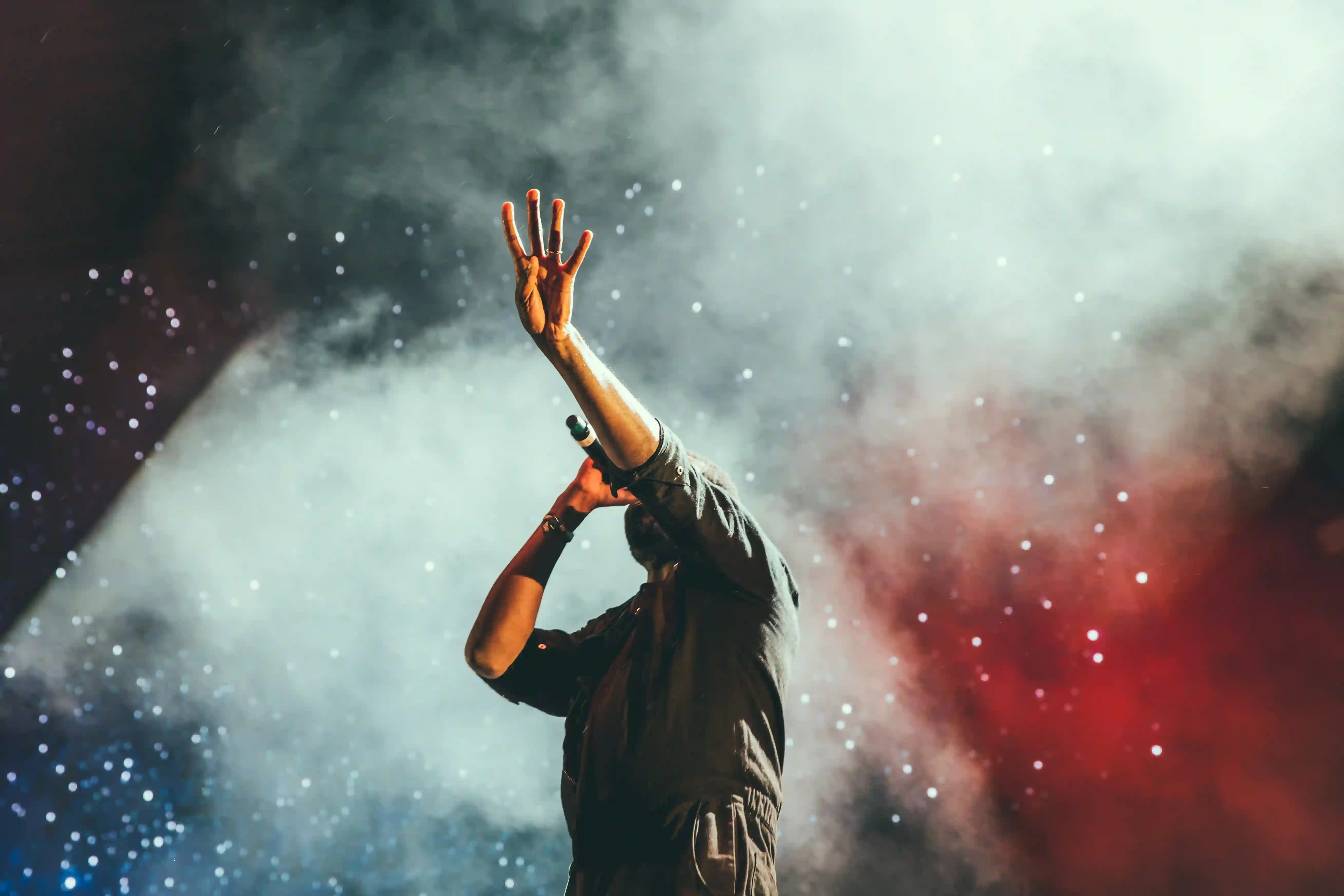 Photo du chanteur lors d'un concert